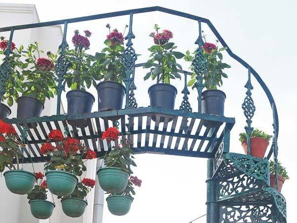  balcony gardening tips