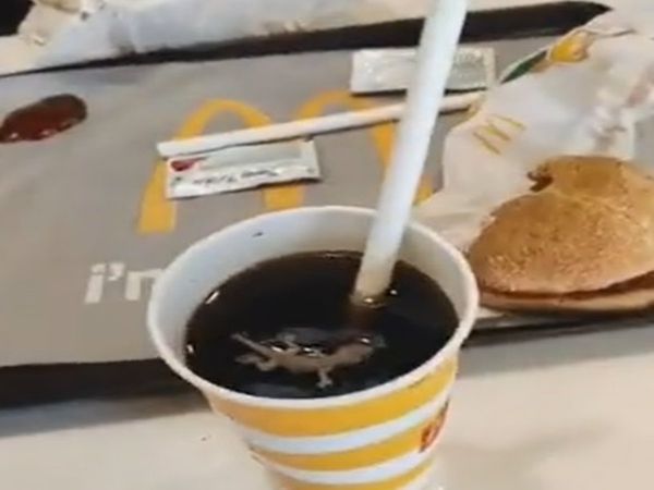 Lizard found floating in soft drink at McDonalds in Ahmedabad outlet sealed after complaint