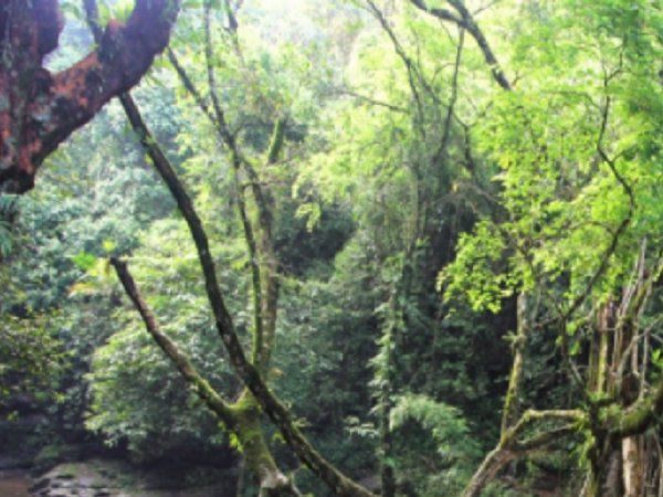 21 जनवरी: 1972 में हुआ पूर्वोत्तर राज्यों मणिपुर, मेघालय और त्रिपुरा का उदय