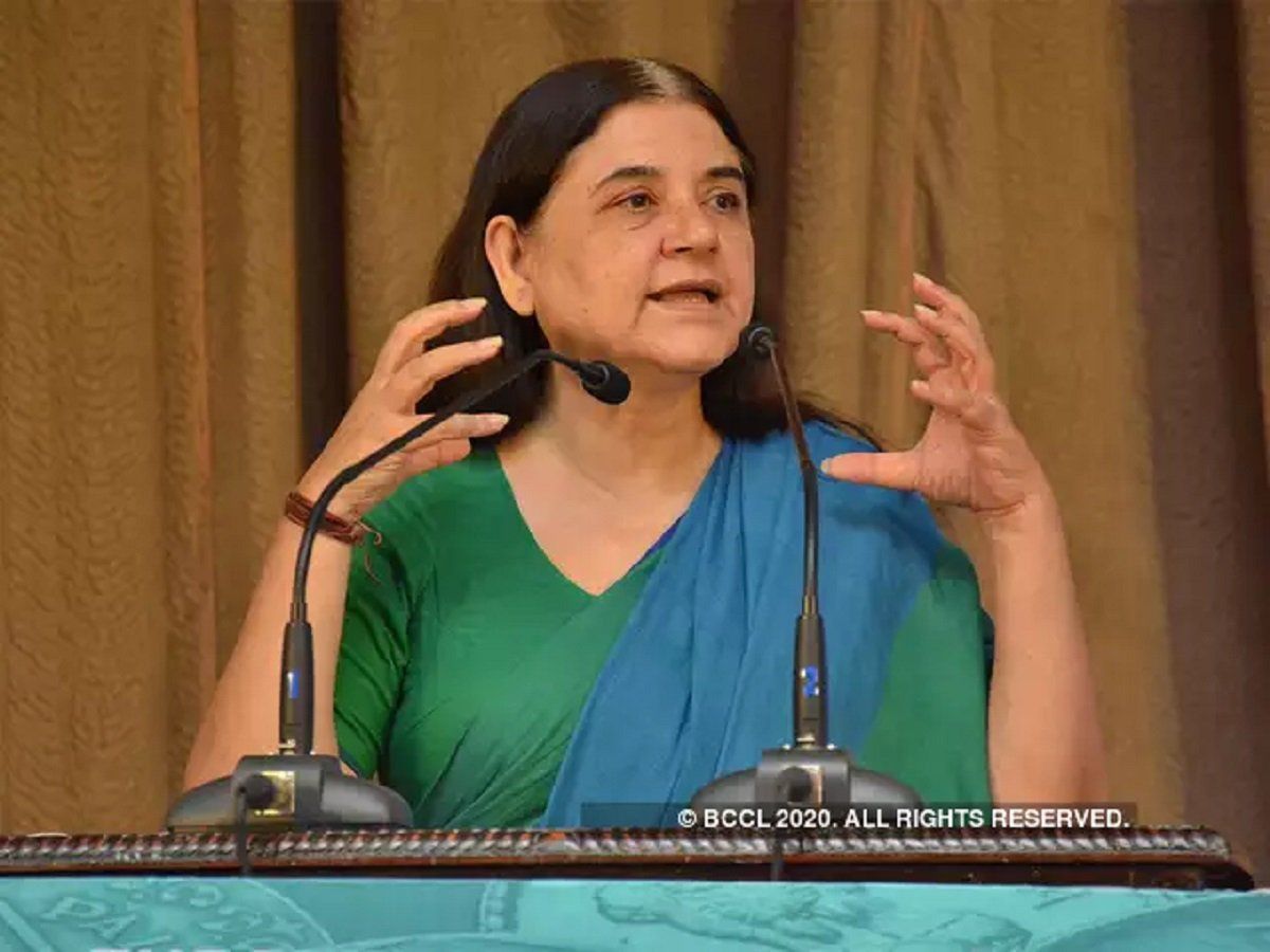 गर्भवती हथिनी की मौत का मामला, बीजेपी नेता मेनका गांधी के खिलाफ दर्ज हुई एफआईआर