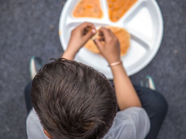 Lizard found in mid day meal