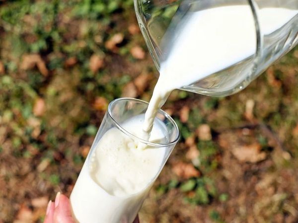 Milk in Uric Acid