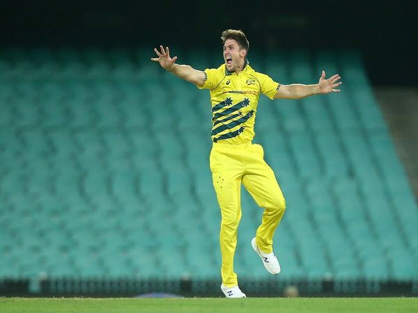 Mitchell marsh