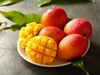 World's most costly mango: Price 2 lakh 70000 rupees per kg, know where it is cultivated in India