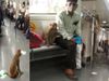 Monkey takes fun ride in Delhi Metro, video gone viral on Social Media