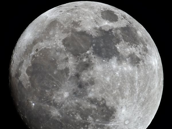 Photo For Representation