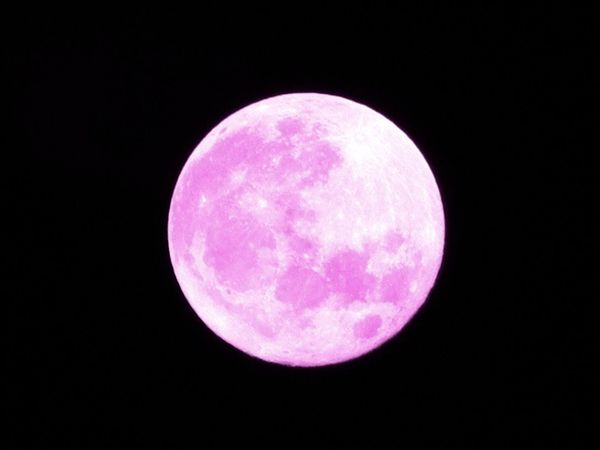 Photo For Representation