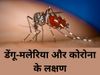 Mosquito Borne Viral Disease