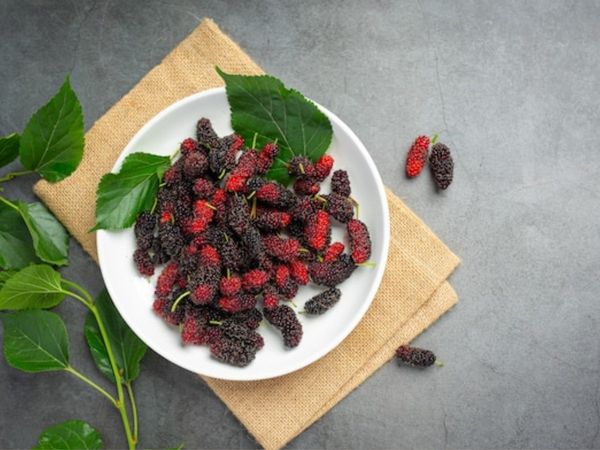 Mulberry Leaves Benefits