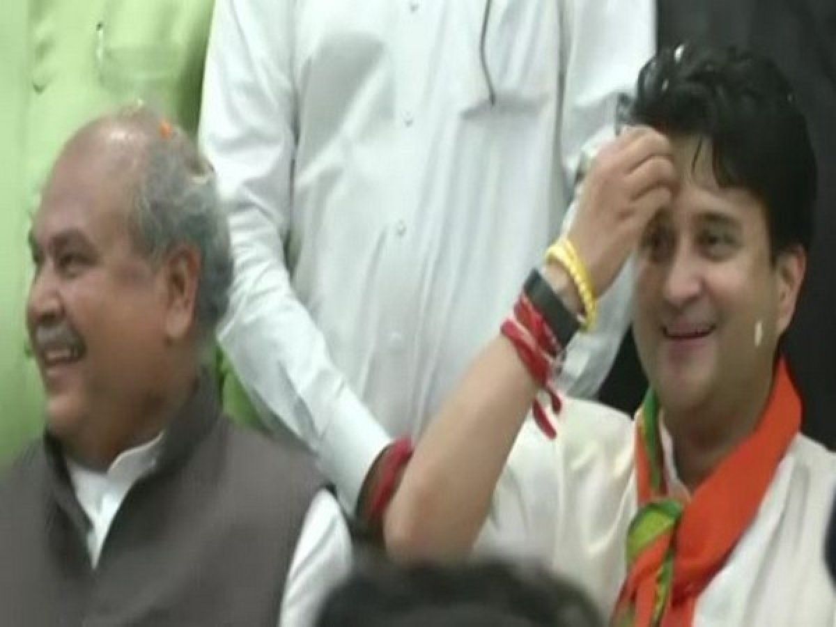 MP Nikay Chunav Result 2022: सिंधिया की तरह इस मंत्री को लगेगा झटका या बचेगा गढ़, केजरीवाल-ओवैसी फिर देंगे सरप्राइज !