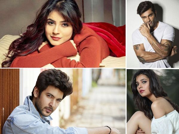 TV Celebs newsmakers of the 11 January 2021 Shehnaaz gill wedding plan to Naagin 5