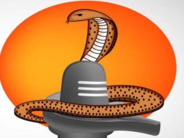 Nag Panchami 2022, why milk is offered to snakes