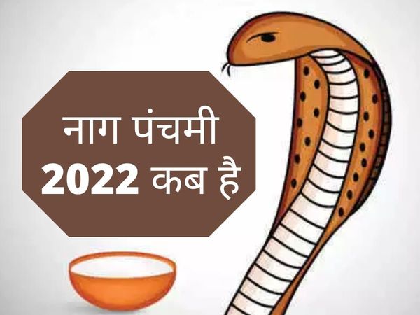 Nag Panchami 2022 Date, Muhurta, Worship Method, Story and Importance in hindi, Nag Panchami 2022, Nag Panchami 2022 Date, Muhurta, Worship Method, Story and Importance