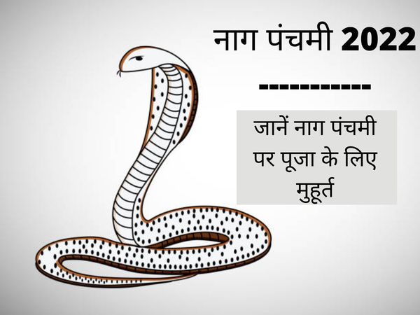 Nag Panchami 2022 Date, Time, Puja Muhurat, Nag Panchami 2022 Puja Muhurat