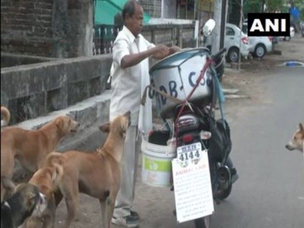 Nagpur man feeding 190 stray dogs with chicken biryani since beginning of pandemic