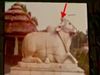 Gyanvapi Survey : Sources claims shivlinga 15th century idols found