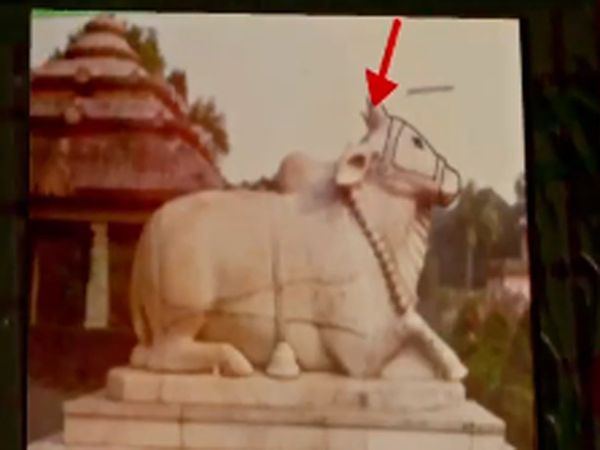 Gyanvapi Survey : Sources claims shivlinga 15th century idols found