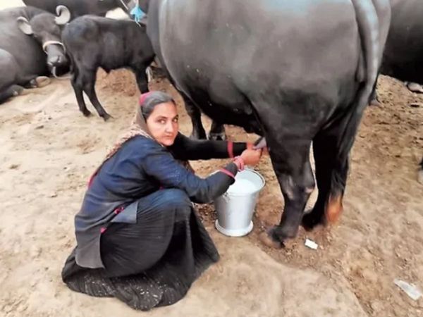 Navalben Dalsangbhai Chaudhary