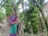 UP: Banana and vegetable cultivation changed the lives of women, 8500 women got employment