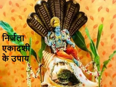 Nirjala Ekadashi 2021 ke Upay Nirjala Ekadashi 2021 ke Upay