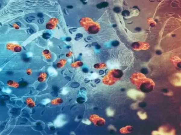 Kerala Norovirus case