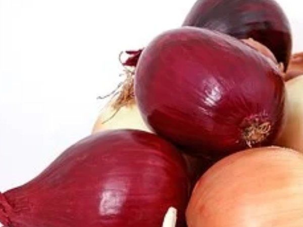 Onion Benefits