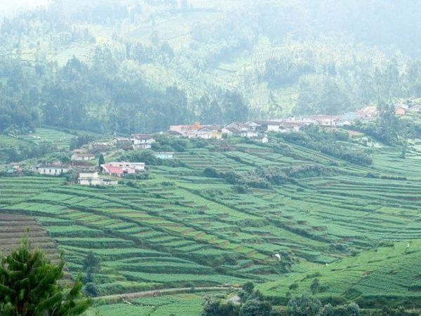 Ooty Tour Travel Guide in Hindi