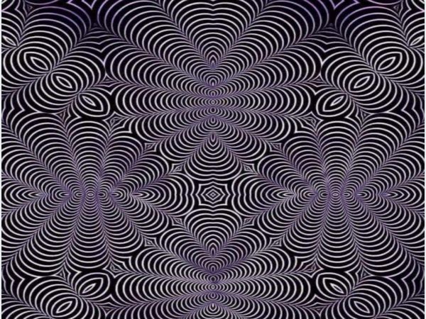 Viral Photo People Shocked After See this Optical Illusion viral Photo