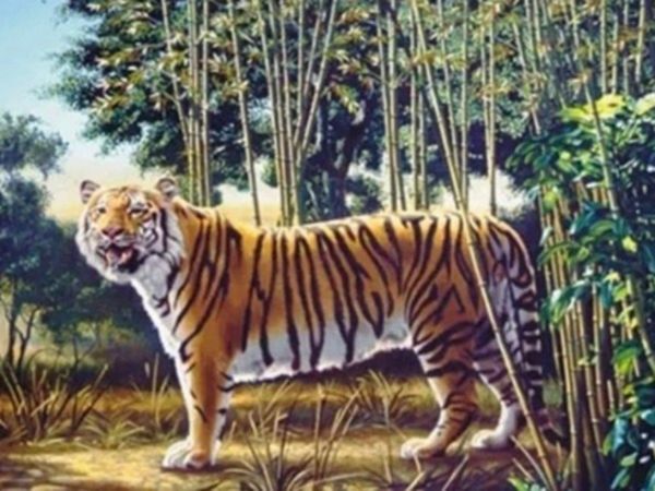 Can You Find Hidden Tiger In Optical Illusion Viral Photo