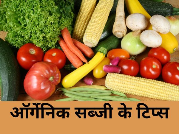 Organic Vegetables