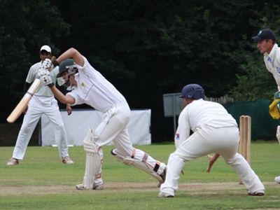 Cricket Cricket