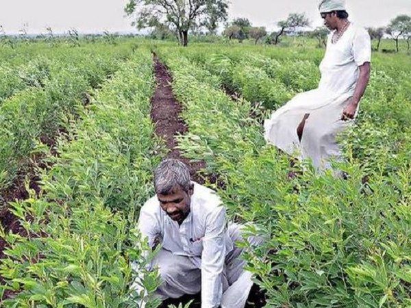 PM Fasal bima yojana