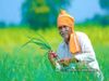 PM Kisan Samman Nidhi Yojana Select farmers could get Rs 10th installment next week