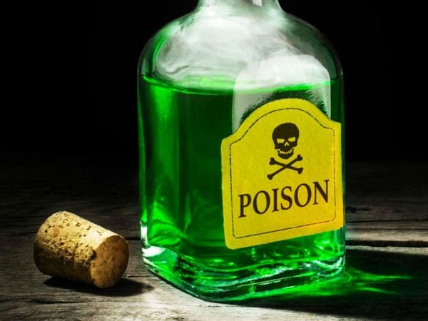 Lucknow Police was bringing lover couple from Bareilly to Lucknow, both killed by consuming poison on the way