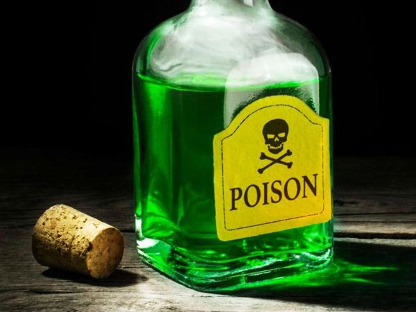 son attack on mother 