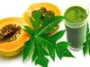 Papaya leaf juice benefits