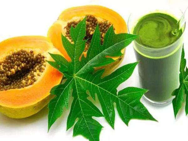 Papaya leaf juice benefits