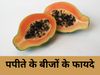 Papaya Seeds 