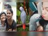 family announces reward of 50 thousand for finding missing parrot in Karnataka