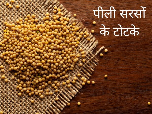 Yellow sarso tips, Astro tips, Astro tips for pili sarso, Pili sarso astro tips, Pili sarso protects from negativity, Pili sarso vastu shastra, Vastu tips for pili sarso