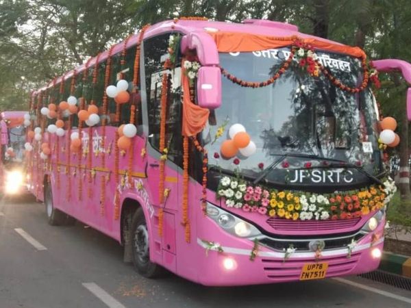 Pink Bus