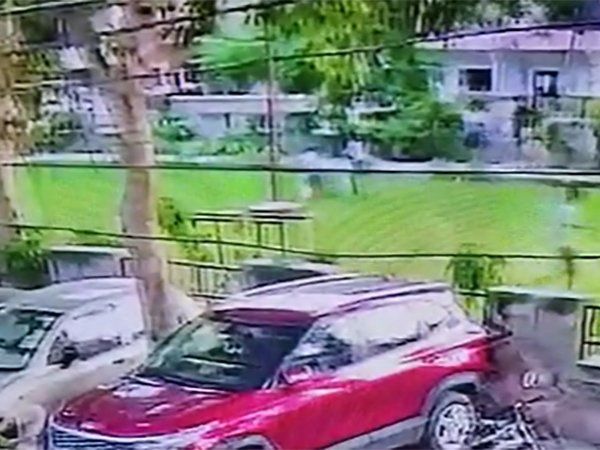 Pitbull dog attack on child