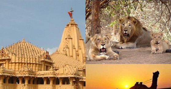 Gujarat tourist places: ये 10 जगहें दिखाती हैं असली गुजरात, जानिए घूमने के लिए सबसे शानदार जगहों की पूरी लिस्ट