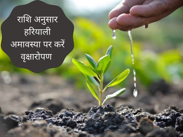 Hariyali amavasya par kaun sa paudha lagaen, hariyali amavasya par kaun sa paudha lagana chahie, hariyali amavasya par kaun sa paudha lagate hain, hariyali amavasya 2021