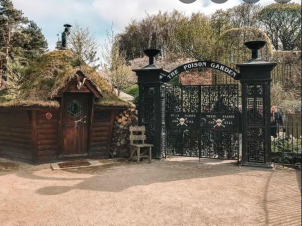 The Alnwick Poison Garden Where More Than Hundred people Died Know About Shocking Truth