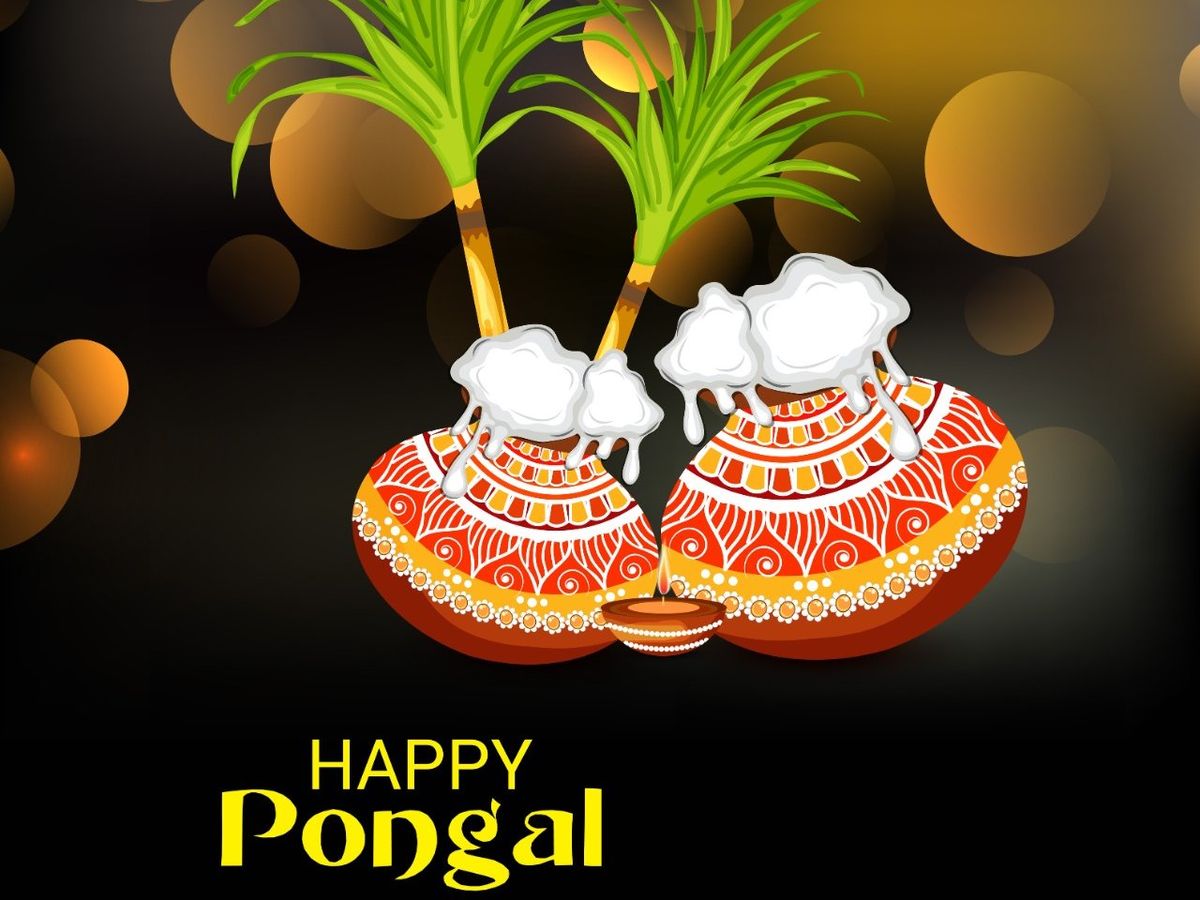 Happy Pongal 2022 Wishes Images, Quotes, Whatsapp Status, Photos ...