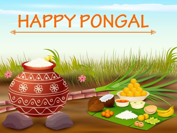  Pongal, Pongal 2022, Pongal images, Pongal wishes, happy Pongal, happy Pongal 2022, happy Pongal images, happy Pongal wishes, happy Pongal sms, happy Pongal greetings, happy Pongal pics, happy Pongal wishes wallpaper, happy Pongal sms status, happy Ponga