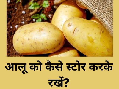 Potato Storage Potato Storage