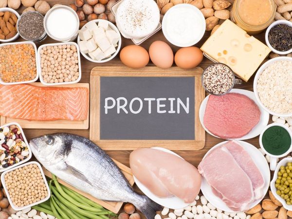 Protein Rich Food