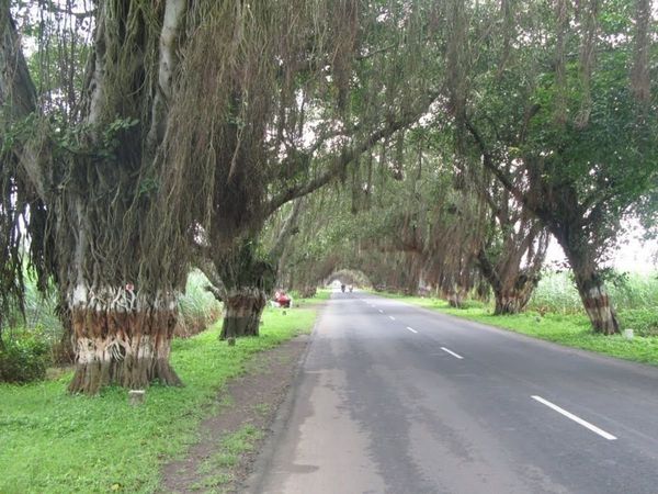 Pune Special Road